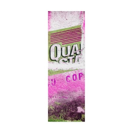 Philippe Hugonnard 'Viva Mexico 2 Pink Grunge Wall' Canvas Art,8x24